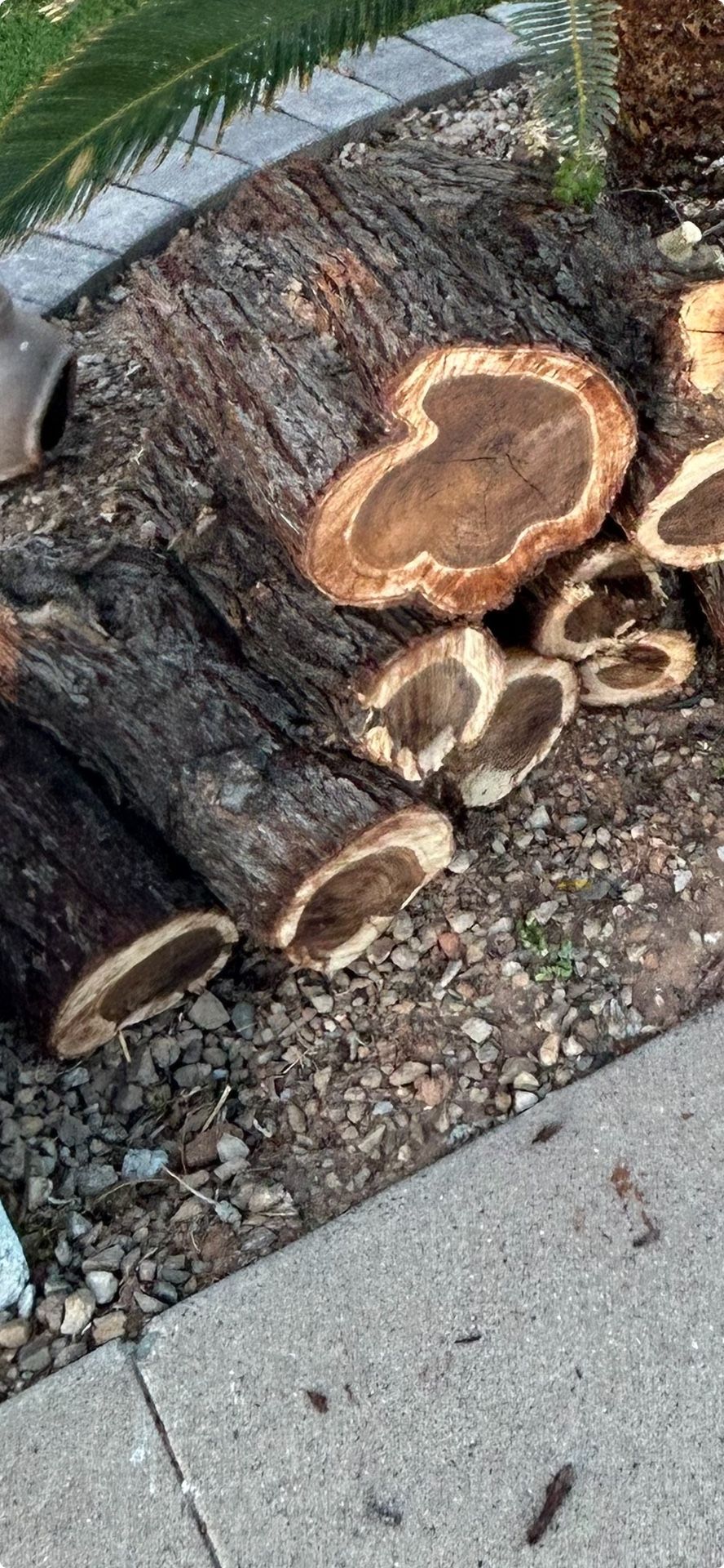 Mesquite Firewood .)