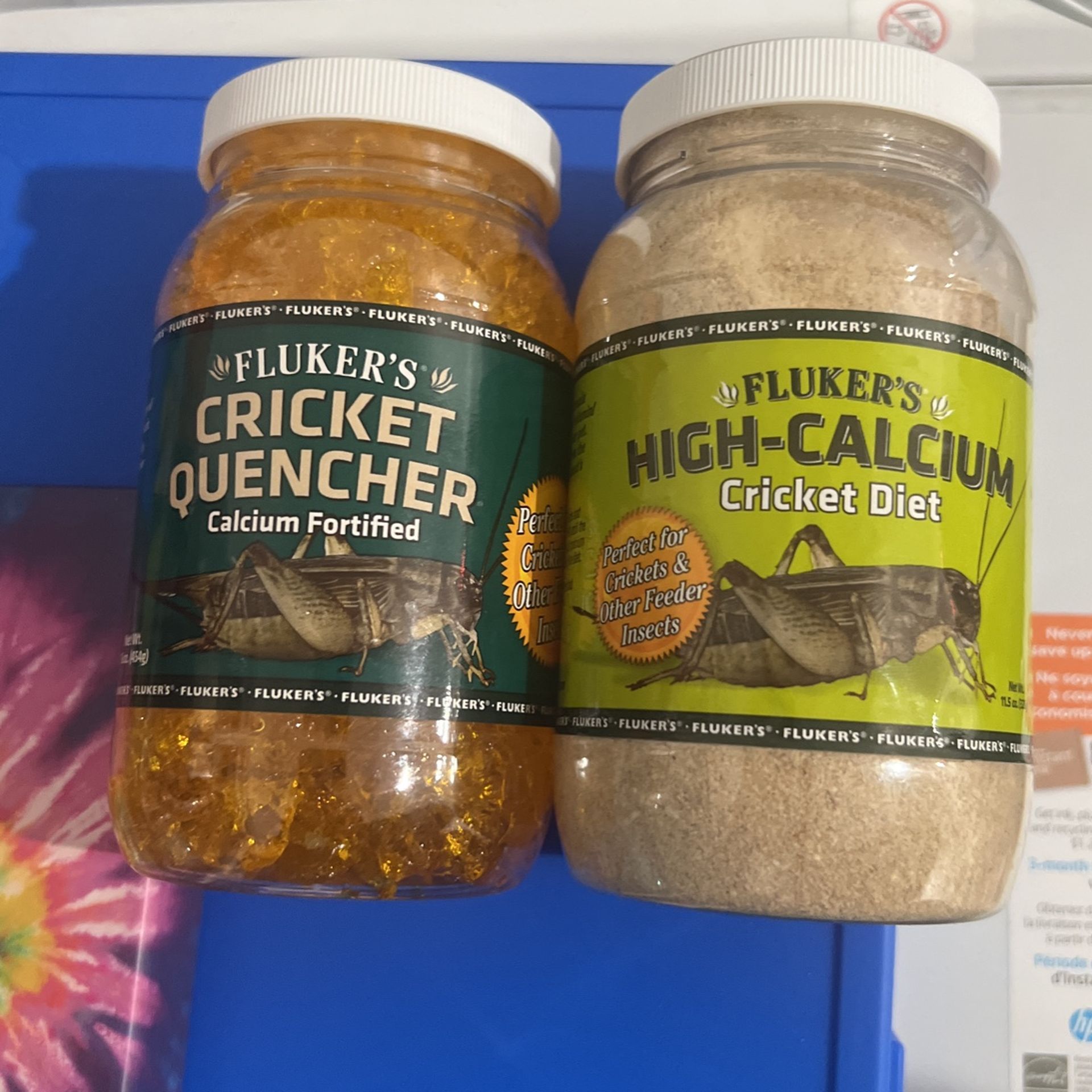Cricket Food