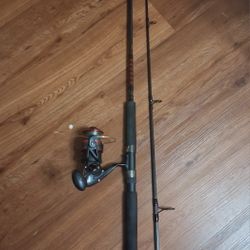 Penn Fierce Salt Water Combo In Great 