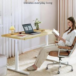 48"x24" Solid Rubberwood Electric Standing Desk