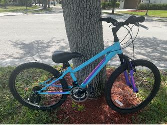 Nishiki 24 inch youth bike