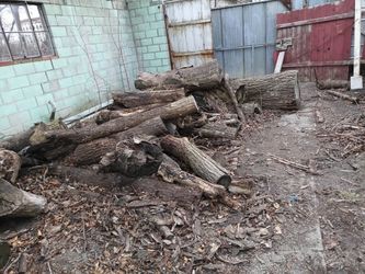 Free wood... BRING CHAINSAW
