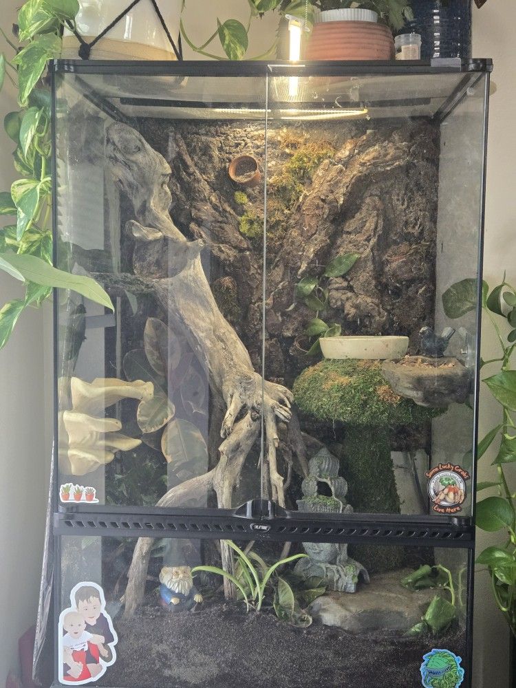 X- Tall Terrarium