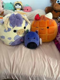 Squishmallow Bundle