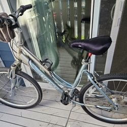 19-in Aluminum Frame, New Cushion Seat,  And A Storage Bag To Hold Your Valuables. 