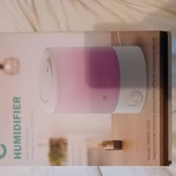 E humidifier
