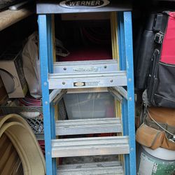 Ladder 4 Foot Werner