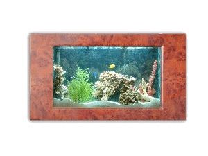 Aqua Bella Wall Aquarium