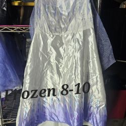 Frozen Costume Size 8-10