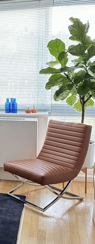 Brown Chairs