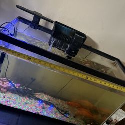 FishTank