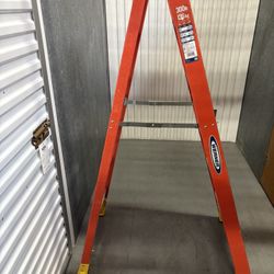 Werner 6’ Ladder