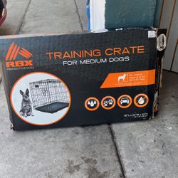 Dog  House 