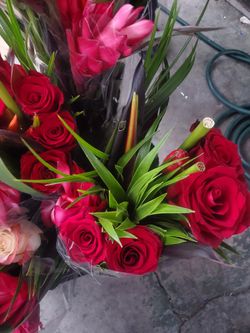 Roses Flowers