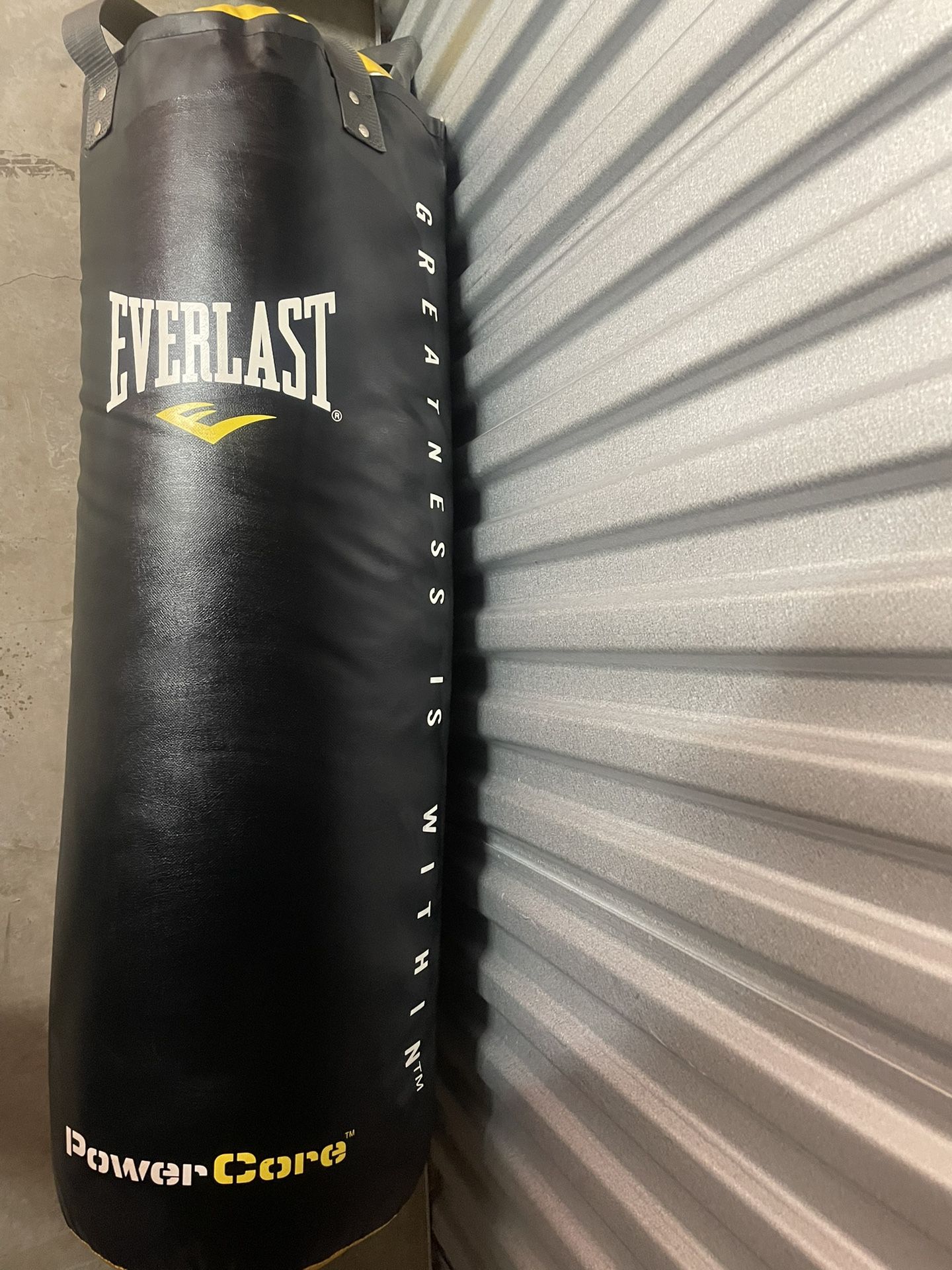 Everlast Heavy Bag