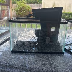 10 Gallon Tank