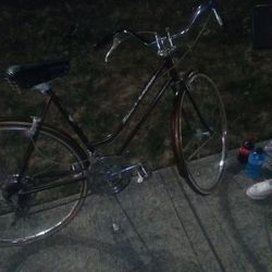 1977 Vintage Schwinn Bicycle 