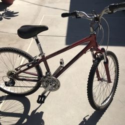 Giant Sedona 6061 ALUXX Bike 
