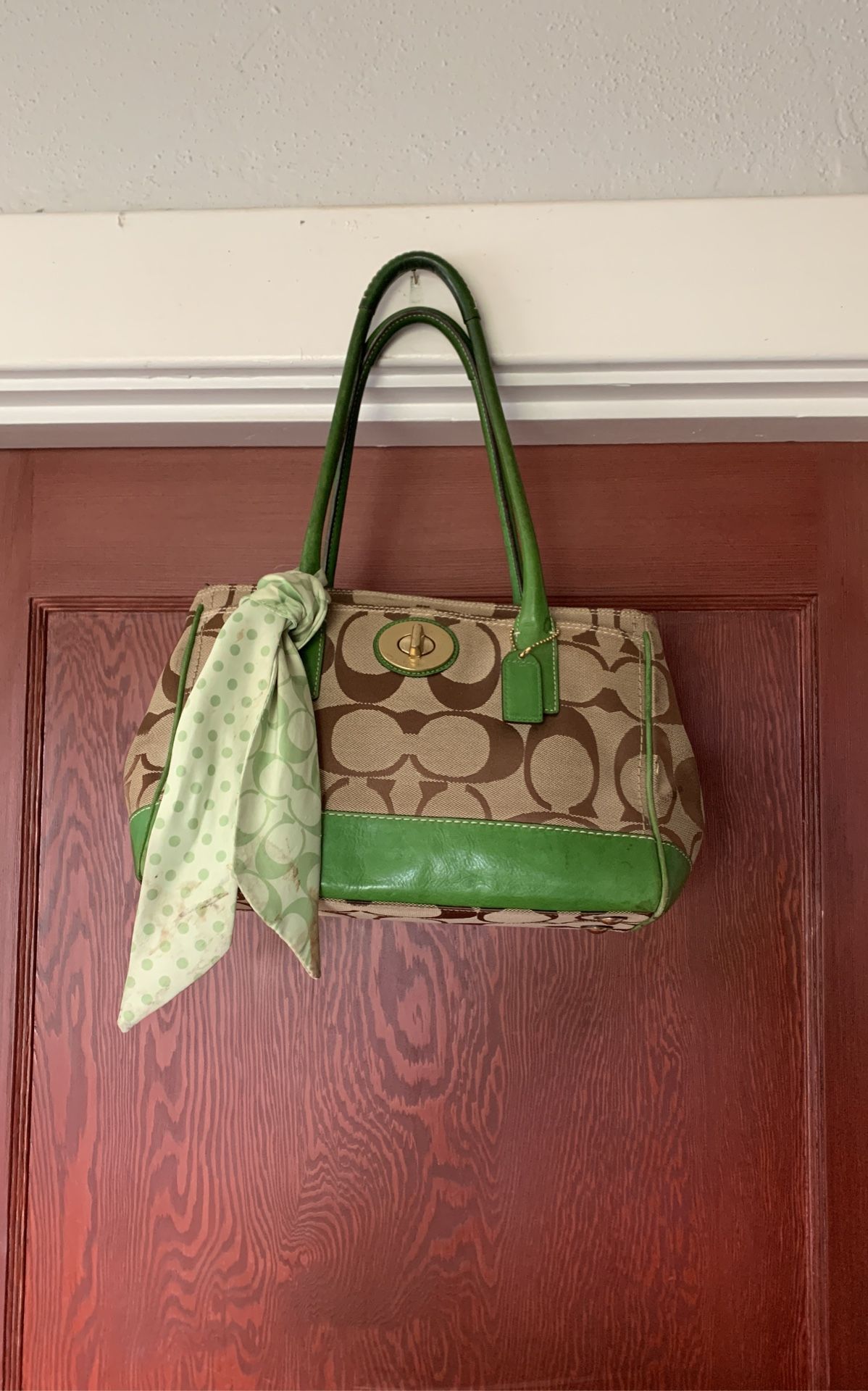 Vintage Authentic Coach Madeline Bag Limited Edition