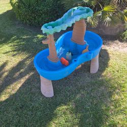 water Table with toys !