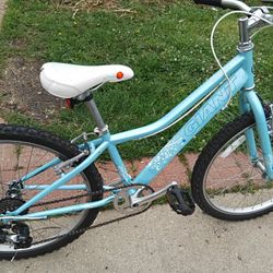 Giant Boulder 24" Tires