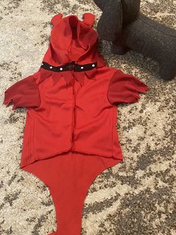 Dog Pirate Costume