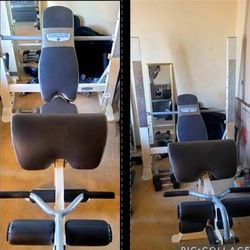Weight Bench (Like NEW)