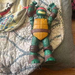 2012 Ninja Turtle Toy