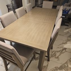 60 X 102 In Table With 8 Chairs