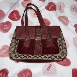 Rare special edition fall 2024 coach bag 