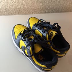 Brand New Sneaker (Size 5.5)