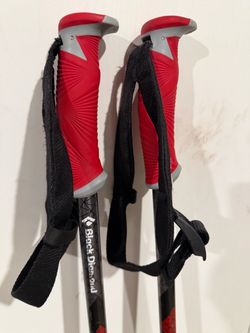 Black Diamond Adjustable Ski Poles