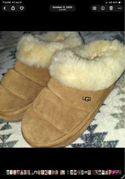Ugg Slippers