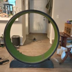 Cat/Dog Wheel