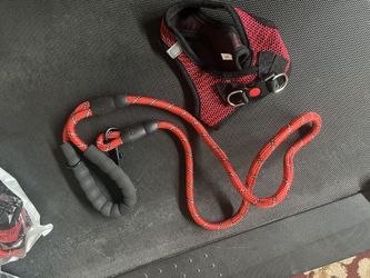 Hello Pet Leash