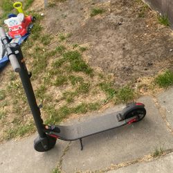 Segway Electric Scooter 