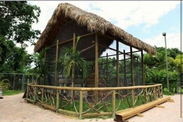 Tiki hut