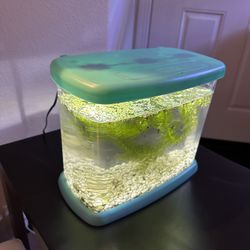 1 gallon betta tank fish bowl with light real plants and gravel mini aquarium 