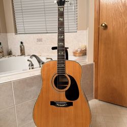 Acoustic Guitar