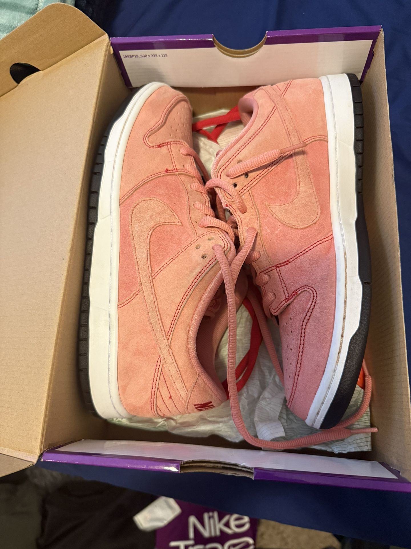 Pig SB DUNKS