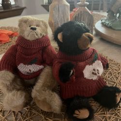 Pair of Bears in Apple Decorate Sweaters