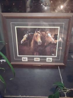 Entering The Light By Suzie Morton Framed And Matted