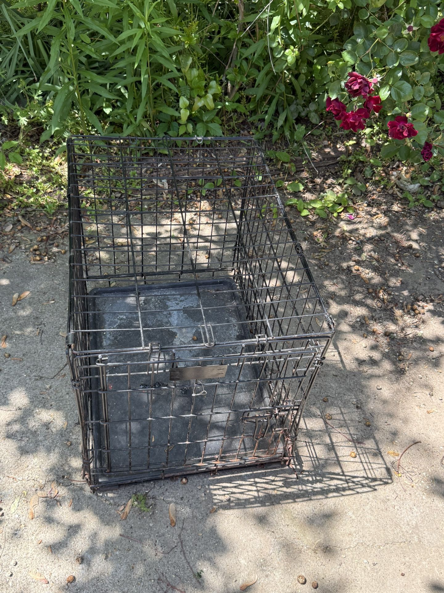 Small Wire Crate