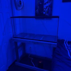 75 Gallon Fish Tank 