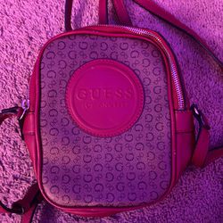 Guess Side Bag