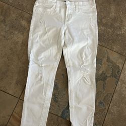 Banana Republic Women’s 