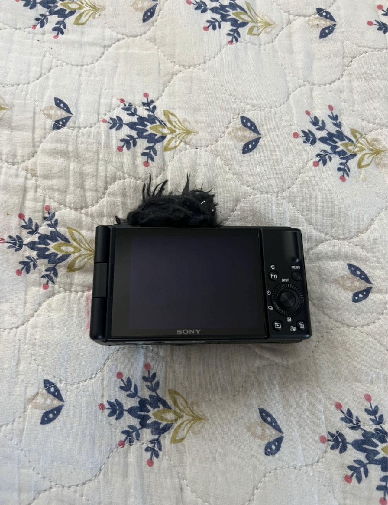 Sony Zv-1f Vlog Camera