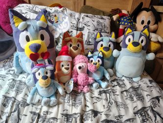 Bluey lot