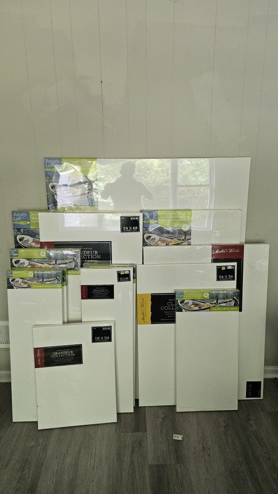 Crazy Amount Of Gallery Wrapped Professional Art Canvases