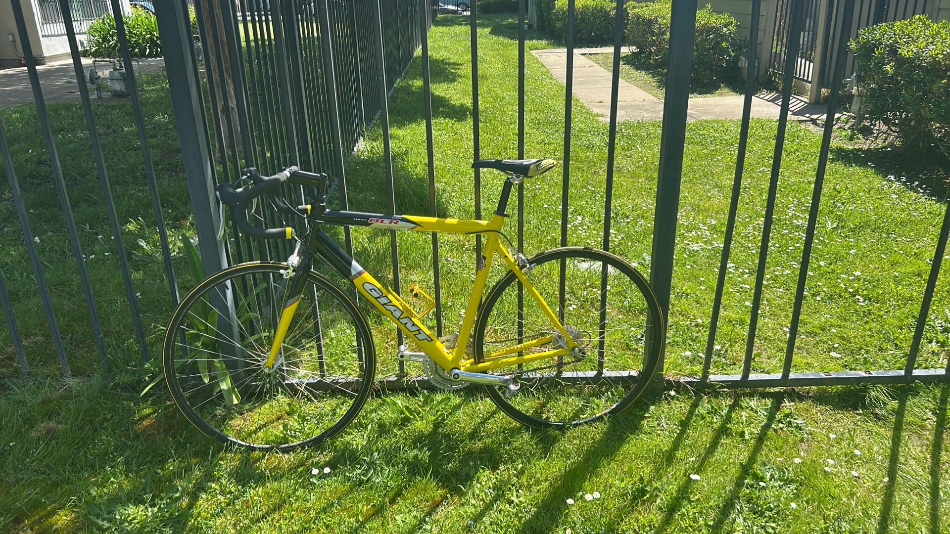 Giant Road Bike